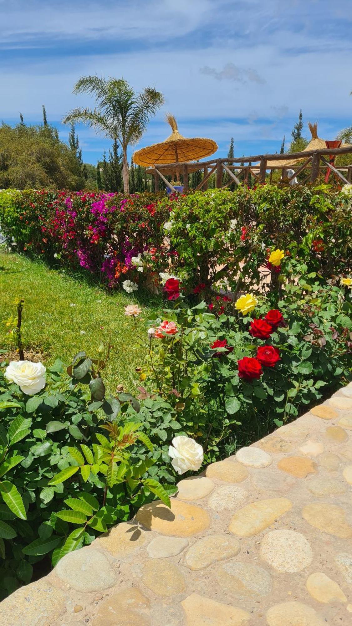 Villa Amma Suvayr Dış mekan fotoğraf